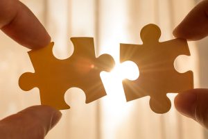 visibility-accounting-features-articles-accounting-seed